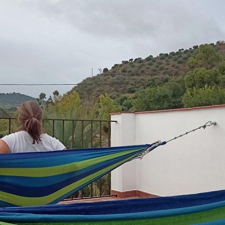 Apartamento Casa Con Vistas Al Campo Y Cocina Con Terraza Villanueva de San Juan Zewnętrze zdjęcie